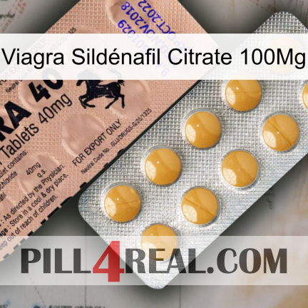 Viagra Sildénafil Citrate 100Mg 41